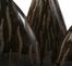 Terra Vases (Set of 3) - IMAX - 31040-3