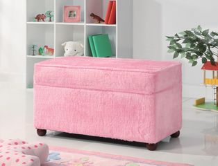 Youth Seating and Storage Upholstered Bench - 460451