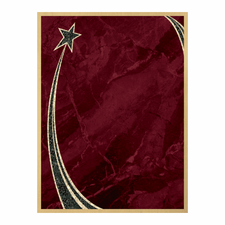 Personalized Black Piano Finish Plaque With Rising Star Plate - Discontinued