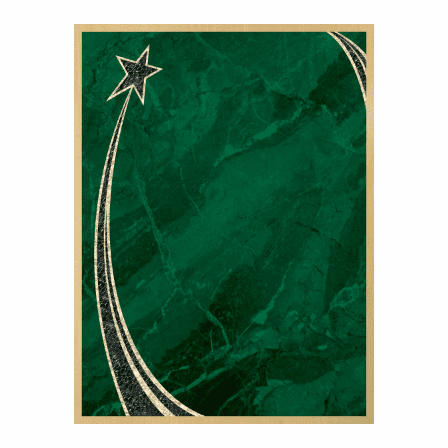 Personalized Black Piano Finish Plaque With Rising Star Plate - Discontinued
