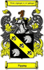 Pipping Family Crest / Pipping Coat of Arms