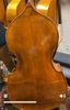 1964 German Wilfer 5 String Double Bass at FMI Bass Shop 1964 German Wilfer 5 String Double Bass at FMI Bass Shop