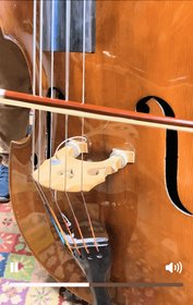 1964 German Wilfer 5 String Double Bass at FMI Bass Shop 1964 German Wilfer 5 String Double Bass at FMI Bass Shop