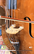 1964 German Wilfer 5 String Double Bass at FMI Bass Shop