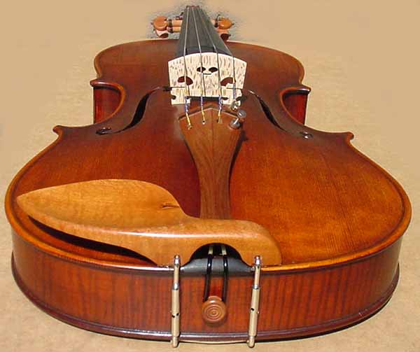 Andreas Eastman VA305 Antiqued Viola Thomastik Dominant Strings