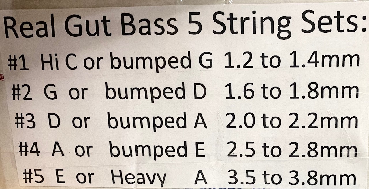 FMI Real Gut Bass Strings for Upright Bass