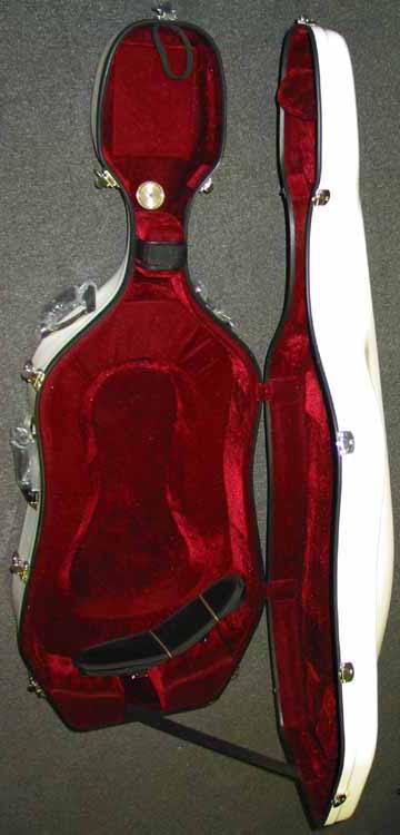 Instrument CASES