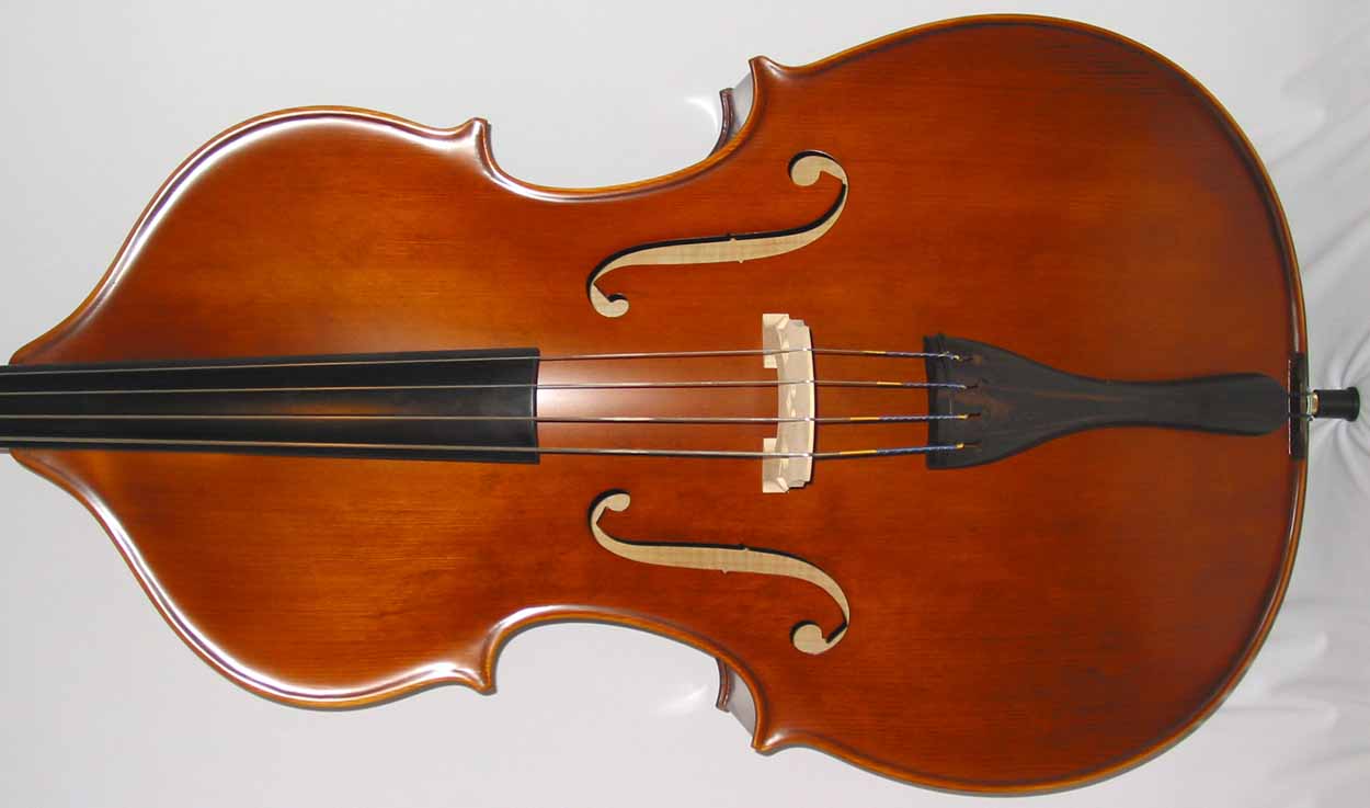 Pro/ Jazz Bass Setups