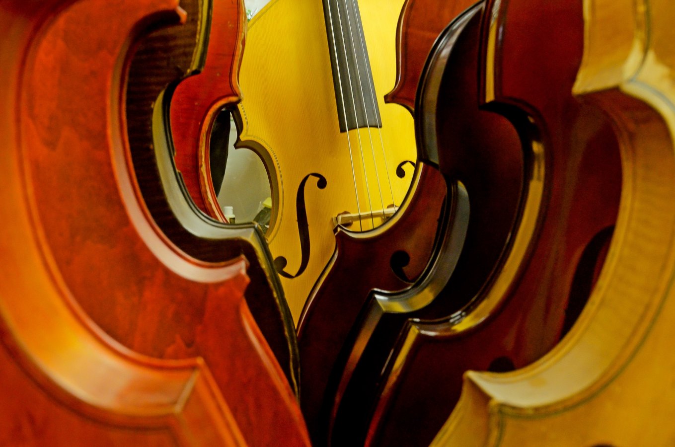 Upright Double Bass Fiddles