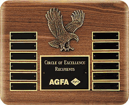 Eagle Multi Plate Award Plaque