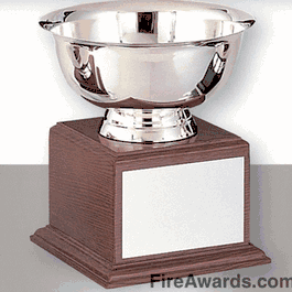 Revere Bowl Award