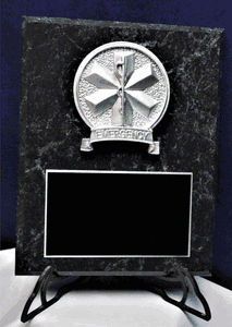 Star Of Life Service Award Plaque