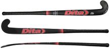 Dita USA C100 INDOOR Composite<br><font color=red>NEW