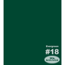 18 Evergreen Savage Seamless Paper 53"x12yds  18-1253