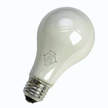 213 Photo Flood Bulb 250W 120V