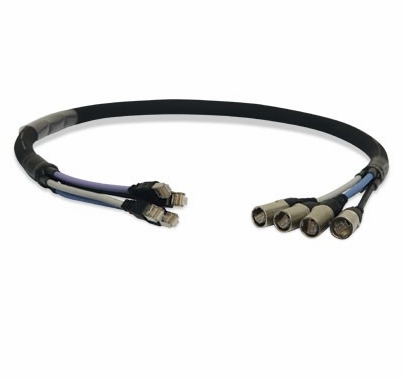 25ft. Lex 4 Ch. Ethernet Snake Jacketed Cat5e RJ45,TPE Jacket 25'