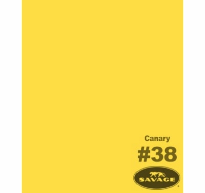 38 Canary Yellow Savage Seamless Background Paper 53" x 12yds 38-1253