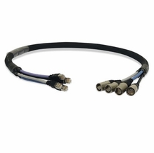 50ft. Lex  4 Ch. Ethernet Snake Jacketed Cat5e RJ45,TPE Jacket 50'