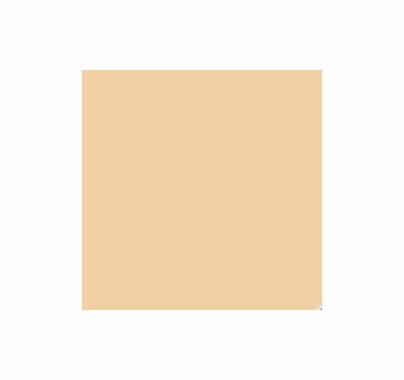 Aadyntech Punch 1/4 CTO Hard Gel