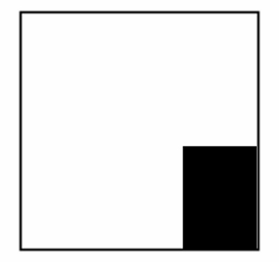 Advantage 12x12 Super Bounce Black & Photo White  w/Bag