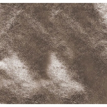 Advantage 8'x8' Gold Lame with Bag