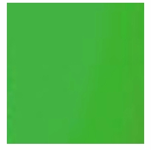 Advantage Green Screen Fabric 12x12 Chroma Key  w/Bag