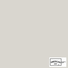 American 6x6 Silver Lame / White Reflector Priscilla  BF16