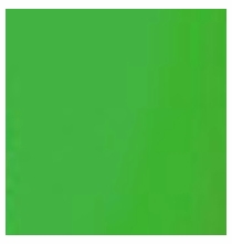 American 8x8 Chroma Key Green Screen  BF328
