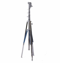 American Junior | Combo  Stands