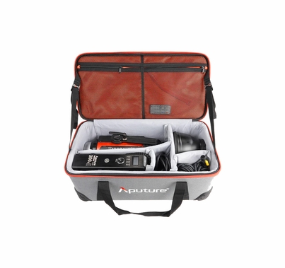 Aputure LS C300d II Daylight LED Monolight | V-Mount