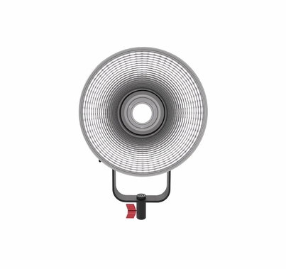 Aputure LS C300d II Daylight Monolight LED | Gold Mount