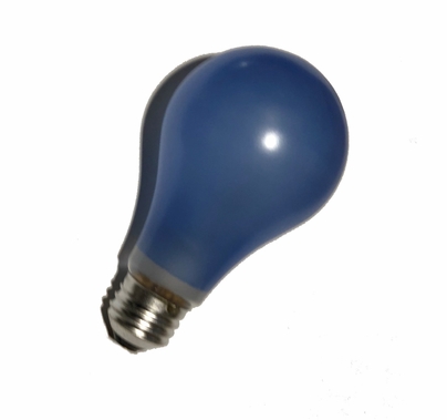 BCA 250W, 120V, Daylight Balanced Photo Flood Light Bulb for Practicals and Lanterns