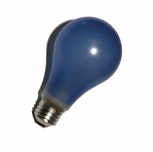 BCA 250W, 120V, Daylight Balanced Photo Flood Light Bulb for Practicals and Lanterns