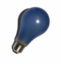BCA 250W, 120V, Daylight Balanced Photo Flood Light Bulb for Practicals and Lanterns