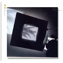 Chimera Window Patterns and Panel Frames