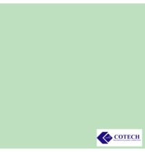 Cotech 246 Quarter Plus Green Lighting Gel Filter Sheet 20"x24"