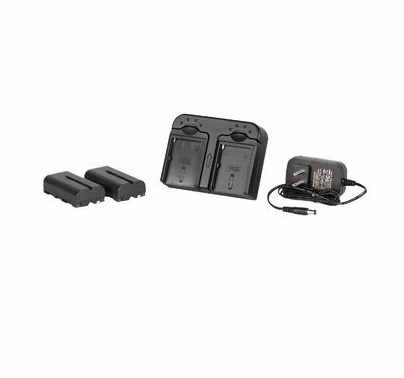 DV Camera Battery Kit w/ 2x Sony 2900mah Replacement Lithium Batteries and Charger