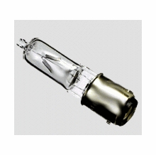 ESR 100W Bulb Lamp Globe