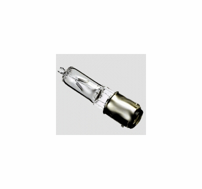 ESR 100W Bulb Lamp Globe
