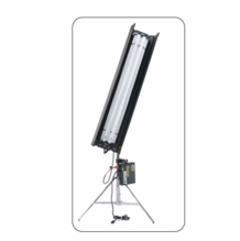 Fluorescent 2 Bank Fixtures 2 Tube