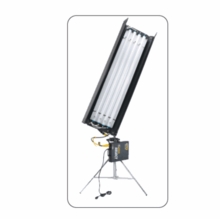 Fluorescent 4 Bank Fixtures (4 Tube)