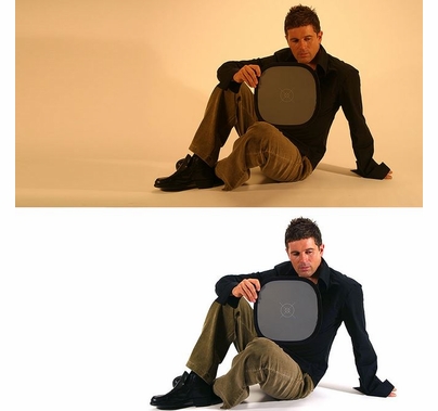 Lastolite EzyBalance Grey / White Card Small 12"  LL LR1250