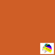 Lee 008 Dark Salmon Lighting Gel Sheet 21"x24"