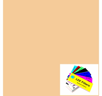 Lee 009 Pale Amber Gold Lighting Gel Sheet 21"x24"