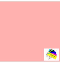 Lee 109 Light Salmon Lighting Gel Filter Sheet 21"x24"