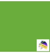 Lee 121 Leaf Green Lighting Gel Sheet 21" x 24"