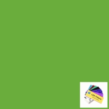 Lee 121 Leaf Green Lighting Gel Sheet 21" x 24"