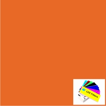 Lee 134 Golden Amber Lighting Gel Filter Sheet 21"x24"