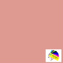 Lee 187 Cosmetic Rouge Diffusion Gel Filter Sheet 21" x 24"