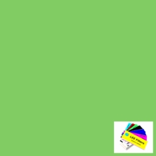Lee 244 Full Plus Green Gel Filter Sheet